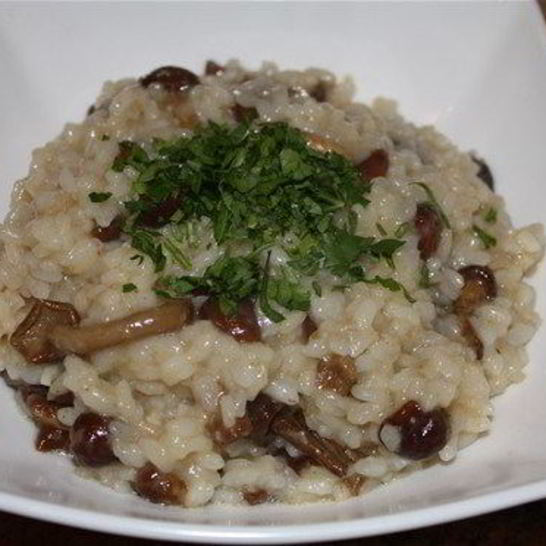 Рецепт традиционного ризотто с опятами