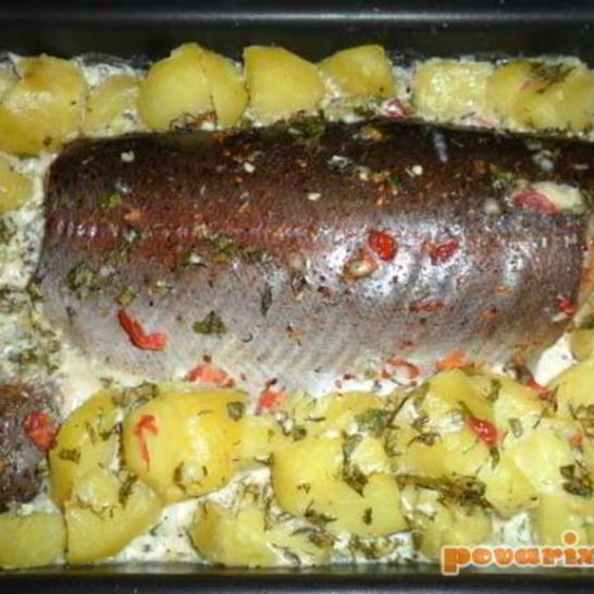 Рецепт форели, запеченной с картофелем в сливках