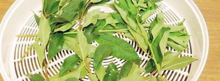 кальмары сушеные. Шаг 7