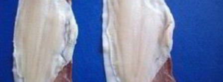 камбала фаршированная. Шаг 3