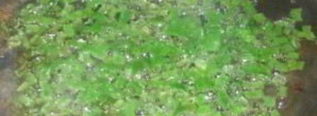 камбала жареная. Шаг 5