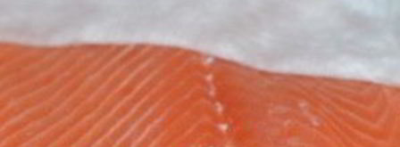 лосось холодного копчения. Шаг 4