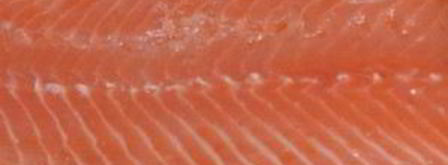 лосось холодного копчения. Шаг 6