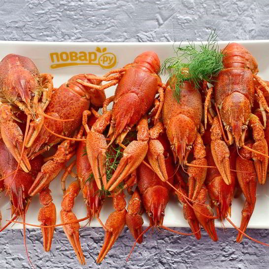 Рецепт раков под пиво