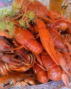 Раки вареные 4х4