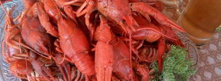 раки вареные 4х4. Шаг 4