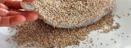 рыба в кунжуте. Шаг 2