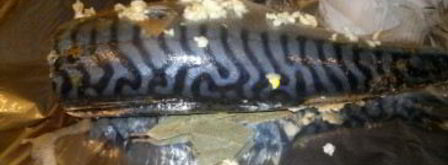 рыба, запеченная в мультиварке. Шаг 7