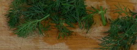 семга с салатом из цикория, фенхеля и редиски. Шаг 9