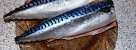 скумбрия холодного копчения в коптильне. Шаг 2