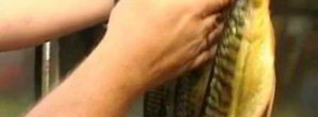 скумбрия холодного копчения в коптильне. Шаг 4