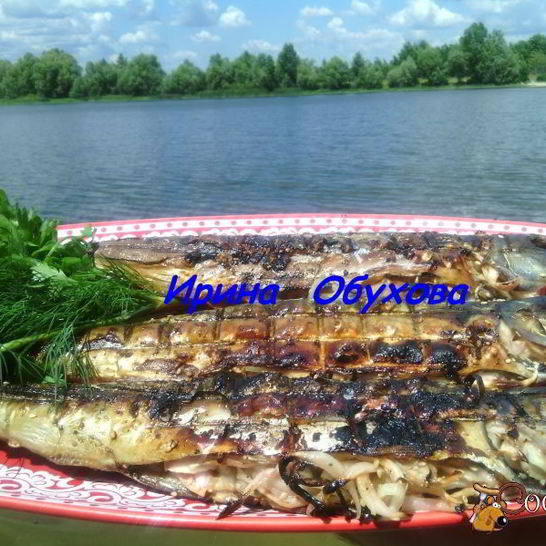 Рецепт скумбрии на мангале