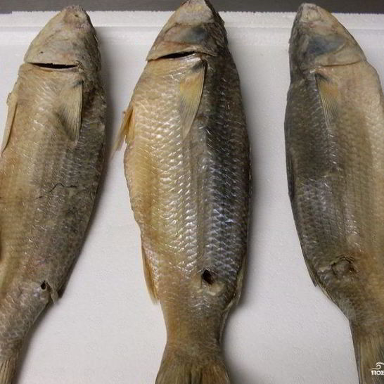 Рецепт вяленой кефали