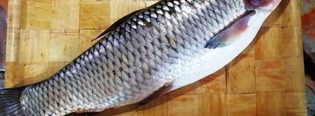 запеченный белый амур с овощами. Шаг 2