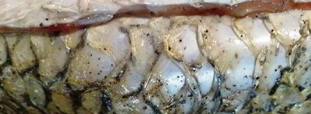 запеченный белый амур с овощами. Шаг 7