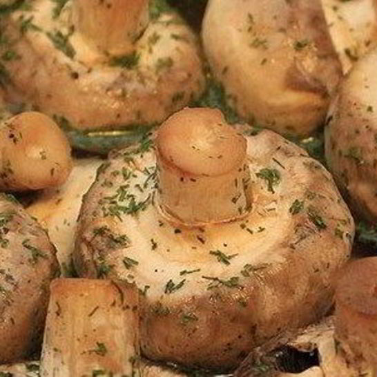 Рецепт шашлычков из шампиньонов