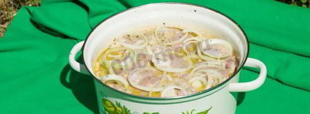 шашлык из курицы на пиве с молоком. Шаг 5