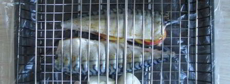 шашлык из скумбрии на решетке. Шаг 8