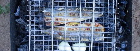 шашлык из скумбрии на решетке. Шаг 9