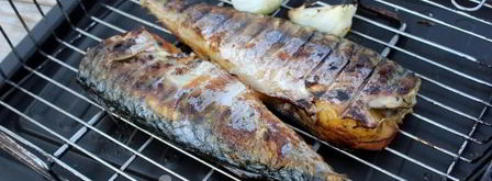 шашлык из скумбрии на решетке. Шаг 11