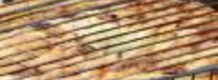 стейк паргит в соево-медовом соусе. Шаг 7