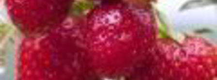 стейк паргит в соево-медовом соусе. Шаг 8