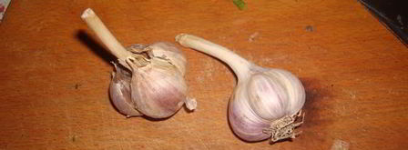 стриплойн — стейк с зеленой фасолью. Шаг 2