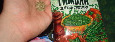 стриплойн — стейк с зеленой фасолью. Шаг 19