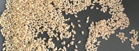 домашние тефтели в томатном соусе с зеленым булгуром. Шаг 11