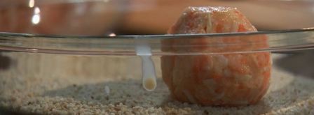 тефтели из сельдерея с овощным соусом. Шаг 2