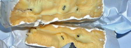 тефтели с сыром и шпинатом, в томатном соусе. Шаг 6