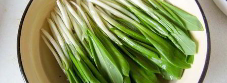 вареники с творогом и черемшой. Шаг 2