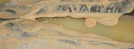 новогоднее рыбное жаркое оскал дракона. Шаг 5