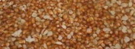 кутья в скороварке. Шаг 2