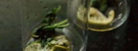 безалкогольный коктейль на новый год. Шаг 2