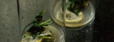 безалкогольный коктейль на новый год. Шаг 3