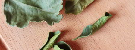 мятный чай. Шаг 2