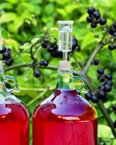 Домашнее вино из санберри