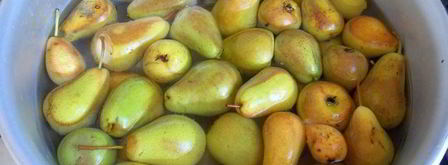 груши в мятном сиропе. Шаг 2