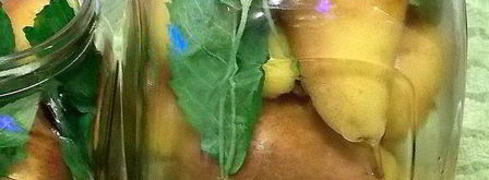 груши в мятном сиропе. Шаг 3