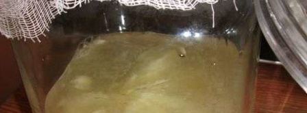 имбирный эль. Шаг 6