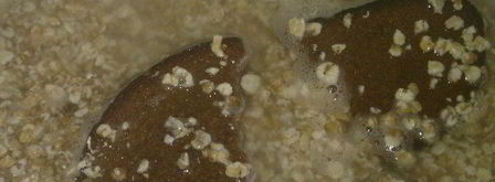 овсяный кисель. Шаг 3