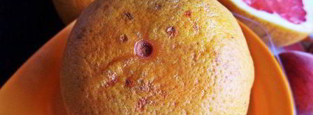 коктейль нежный нектар. Шаг 4