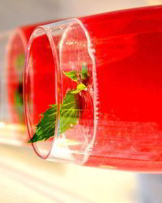 Коктейль Ягодная Пэрис