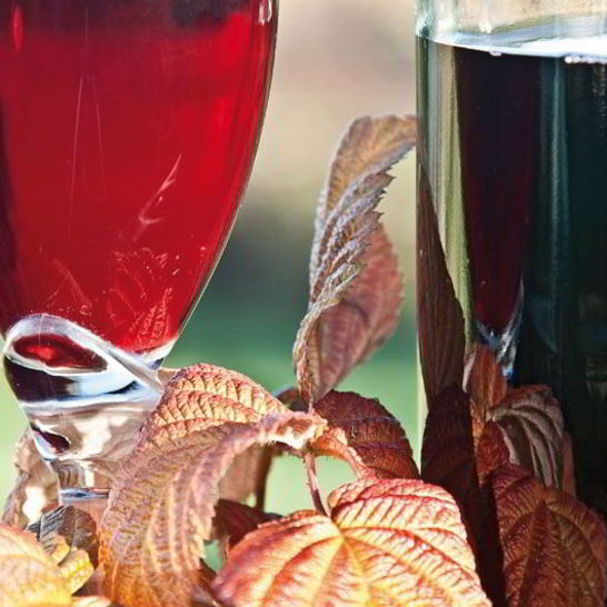 Рецепт малинового вина