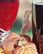 Малиновое вино