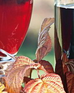 Малиновое вино