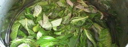 мятный сироп. Шаг 5