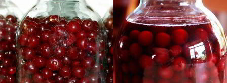 вишневая наливка. Шаг 2