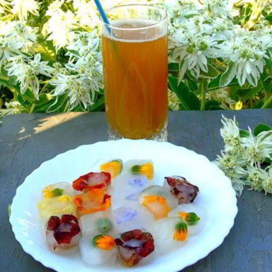 Рецепт напитка из календулы с цветочным льдом